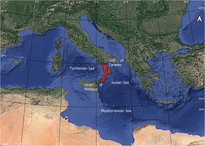 Shoreline Evolutionary Trends Along Calabrian Coasts: Causes and Classification